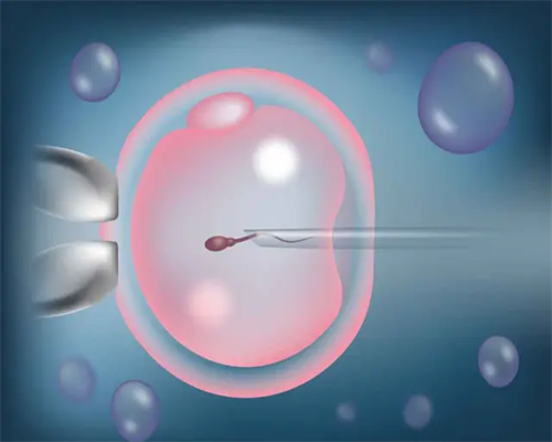 武汉做供卵的机构,武汉供卵机构的基本情况