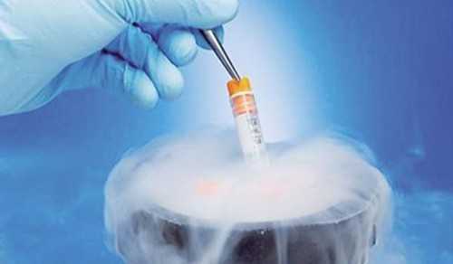 2026年武汉产假是128天还是98天？有关武汉产假的天数在2026年是否会有变化？