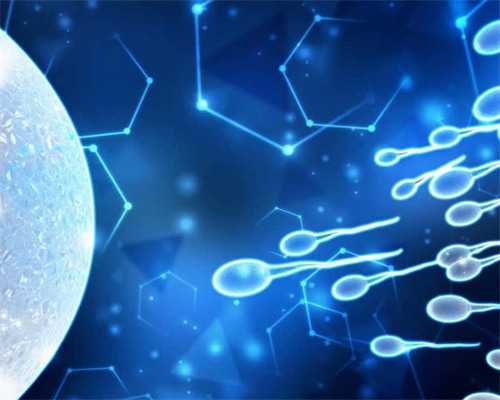 武汉供卵代孕网译,武汉试管助孕医院，武汉试管成功率