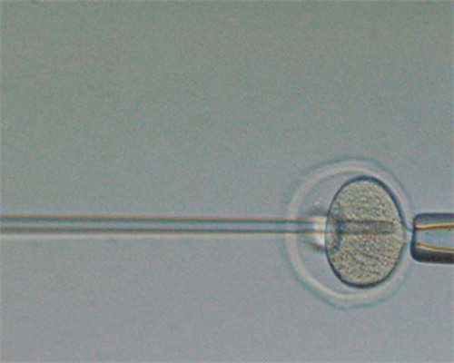 武汉合法代生多少钱,武汉试管婴儿费用(在武汉试管费用是多少)