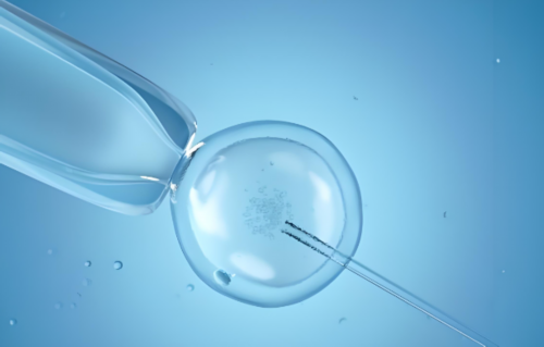 武汉做代生费用,武汉试管婴儿费用(在武汉试管费用是多少)