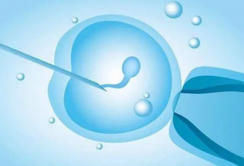 武汉全国供卵中心,武汉私立供卵供卵代孕助孕机构同性恋可以做吗？