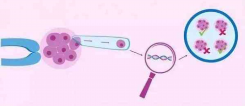 69助孕公司|2026天津供卵试管婴儿成功率是多少,一起来见分晓