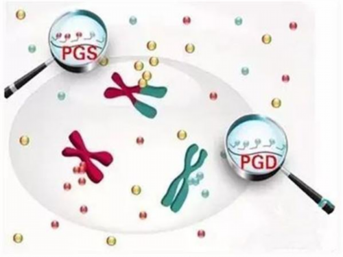 武汉助孕试管在哪里,武汉供卵试管助孕的医院简介