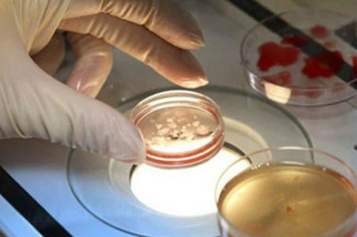 武汉代怀公司流程,武汉试管费用(武汉做试管费用需要多少)