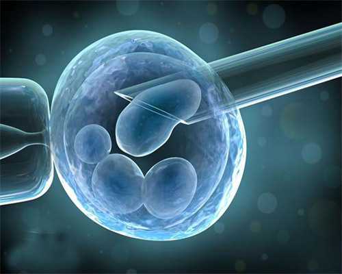 武汉代生机构费用,武汉正规供卵试管医院,武汉正规供卵机构