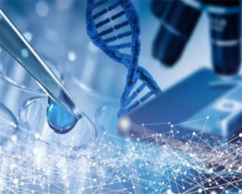 武汉找代怀女子,武汉供卵要多少钱（武汉同济做试管多少钱）