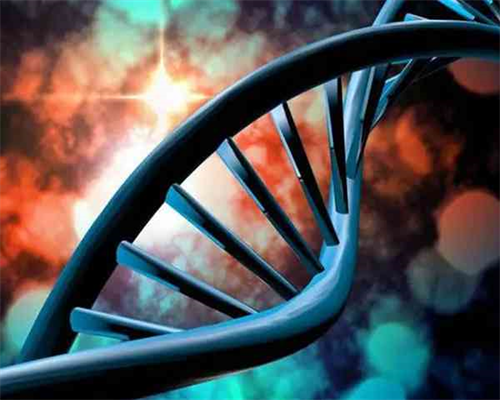 武汉代生_武汉供卵实验室,武汉同济医院三代供卵代孕的费用是多少？附费用明