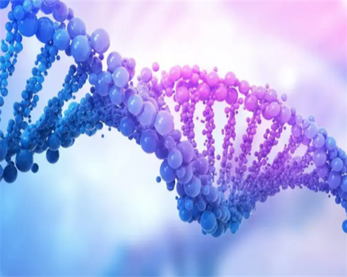 小孩大便出血的疾病原因有哪些？