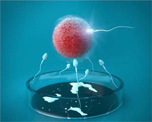 不孕吃黑豆起什么作用（黑豆薏米粥的做法）