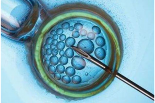 武汉代怀孕费用表,武汉试管婴儿费用(在武汉试管费用是多少)