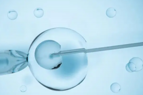 武汉怎样找助孕的,武汉优生助孕中心