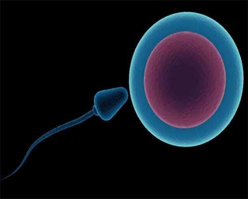 失独武汉助孕&武汉供卵方案,武汉供卵代孕婴儿具体操作流程是怎样的？