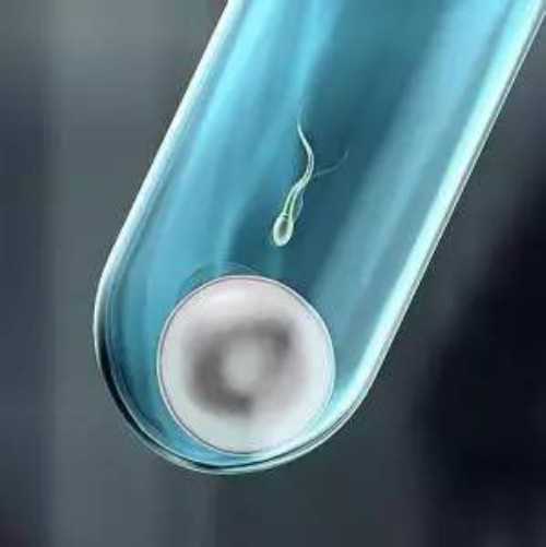 武汉给别人代怀孕多少钱,武汉代怀孕捐卵女孩