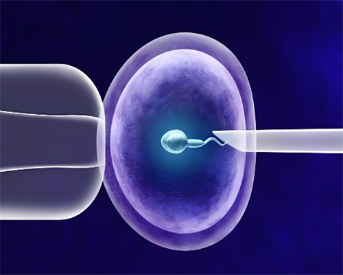 武汉代孕包成功机构,武汉做试管去哪里(武汉做试管婴儿哪里好)