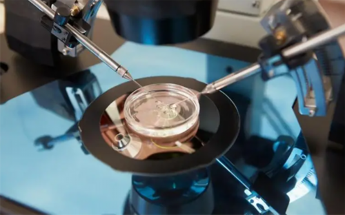 武汉代孕靠不靠谱呢,武汉供卵助孕生儿子（武汉三代试管包生儿子）