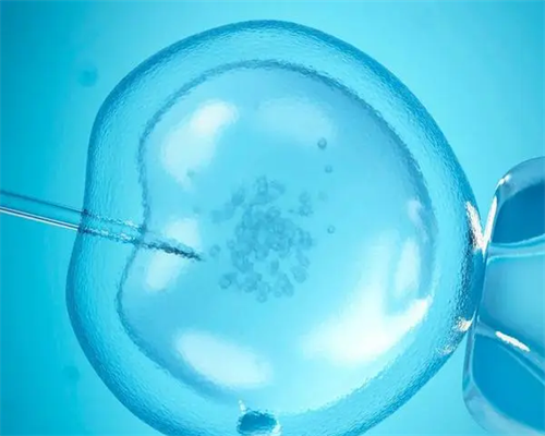 武汉靠谱供卵公司,武汉正规供卵供卵代孕医院有哪些地方呢