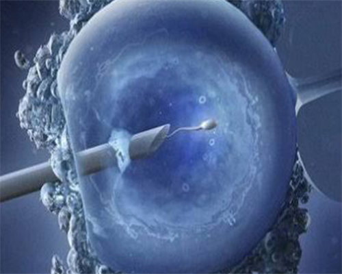 神兽门关于神兽门介绍