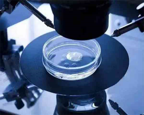 武汉哪做供卵不用等,武汉供卵机构的基本情况