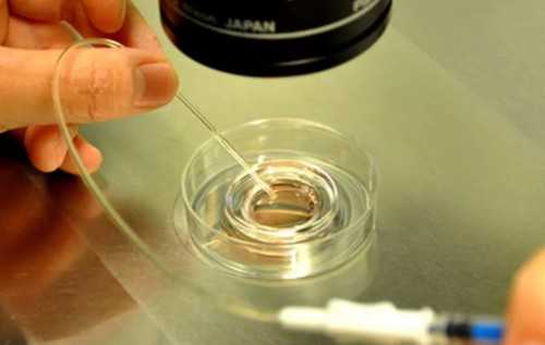 武汉最棒的试管医院——一种新的生育方式,武汉黄埔一线教师交出“铁军答卷