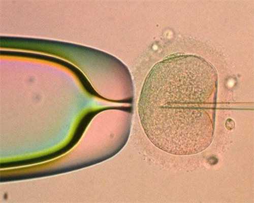 武汉代孕专业公司,武汉同济试管,武汉同济最省钱试管攻略