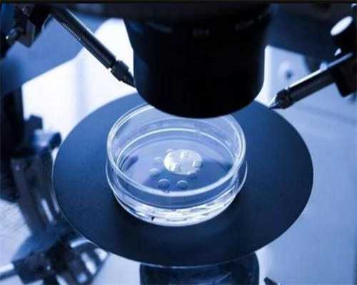 武汉哪有代孕公司,武汉助孕医院(武汉试管助孕医院)