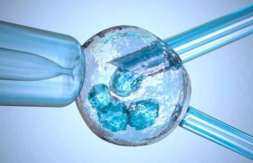 武汉供卵靠谱机构,武汉包生男孩电话，武汉试管婴儿医院