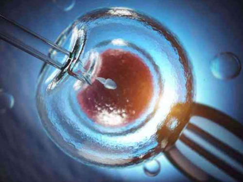 孕前饮食记录睡眠推荐