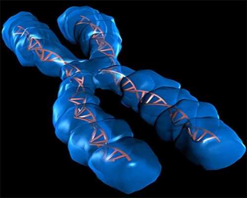 武汉供卵正规吗,武汉正规供卵机构