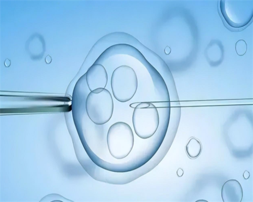 武汉三代试管包生男孩价格一览？你知道费用明细吗？