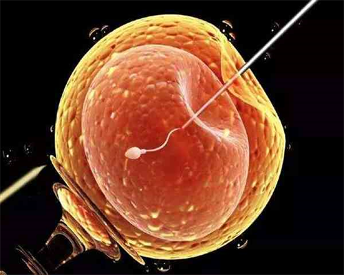 中药调理备孕男娃的方法有哪些？