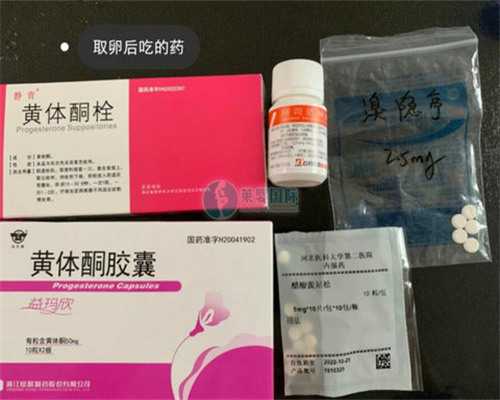 助孕产子试管,没有优势卵泡可以做试管吗_没有优势卵泡会怎样