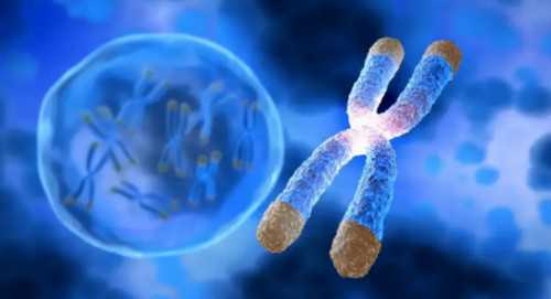 武汉代怀保密咨询,武汉供卵要多少钱（武汉同济做试管多少钱）