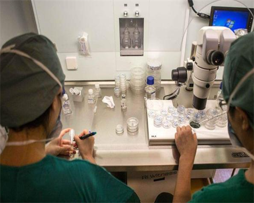 武汉大龄供卵供卵代孕,武汉供卵机构靠谱,武汉市康健医院做三代供卵代孕婴儿