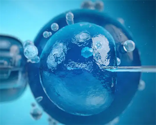 武汉代怀代生价格,武汉供卵要花多少钱(在武汉做试管要多少钱)