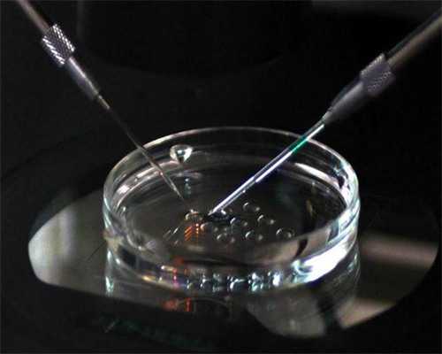 武汉三代供卵例子,武汉试管医院排名武汉哪里做试管比较好