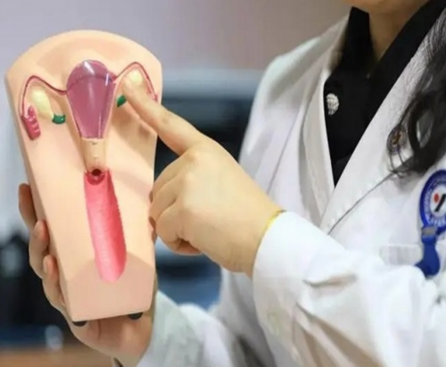 武汉试管代怀妈妈,广州陆军总医院做试管婴儿,武汉陆军总医院挂号