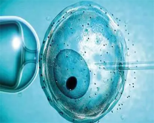 武汉代孕包成功机构,武汉哪里有精子库,武汉精子库医院