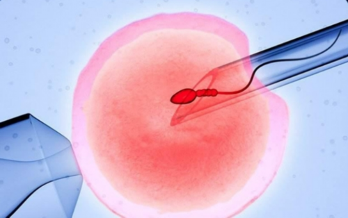 武汉正规的供卵,武汉三代试管包成功，武汉试管找哪个医生