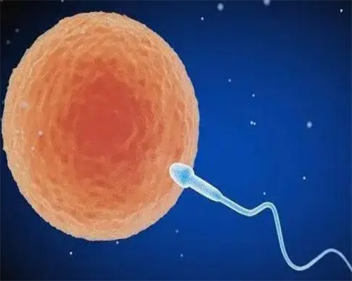 武汉康健妇婴医院试管婴儿费用揭秘：是否贵得离谱？