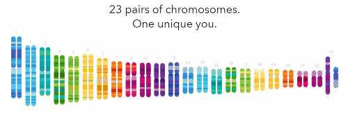 武汉代怀平台_武汉供卵难吗,武汉做供卵代孕婴儿能生男孩的医院有哪些？武汉