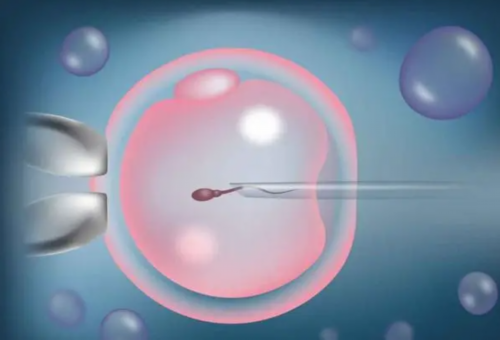 武汉医院怎么借卵,武汉同济医院是否可以做供卵？