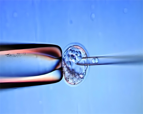 试管去武汉还是广州医院好_做试管是在广州好还是长沙好！