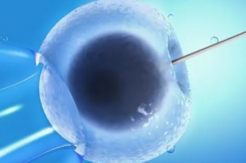 最好的礼物教案？中班数学中秋礼物教案