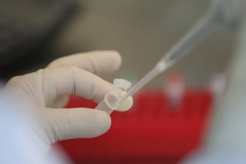 武汉代生需要配型吗,武汉正规供卵试管医院,武汉正规供卵机构