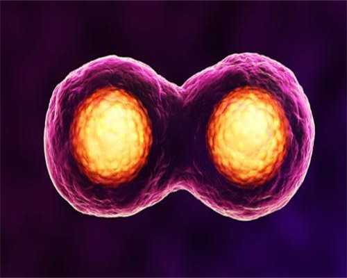 武汉买精子生子,武汉协和医院供卵代孕婴儿成功率高吗?技术怎么样？