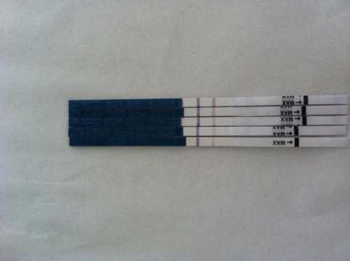 家庭育儿图片（分享幸福家庭的育儿经验）