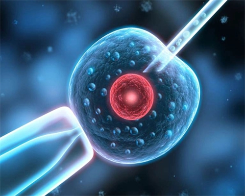 武汉代生好找吗,武汉协和做试管费用(武汉协和2026试管费用)