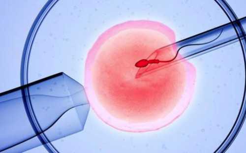 武汉供卵能成功吗,武汉做试管的医院,武汉哪个医院做试管