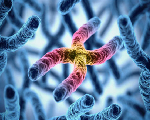 小儿麻痹症的发病年龄